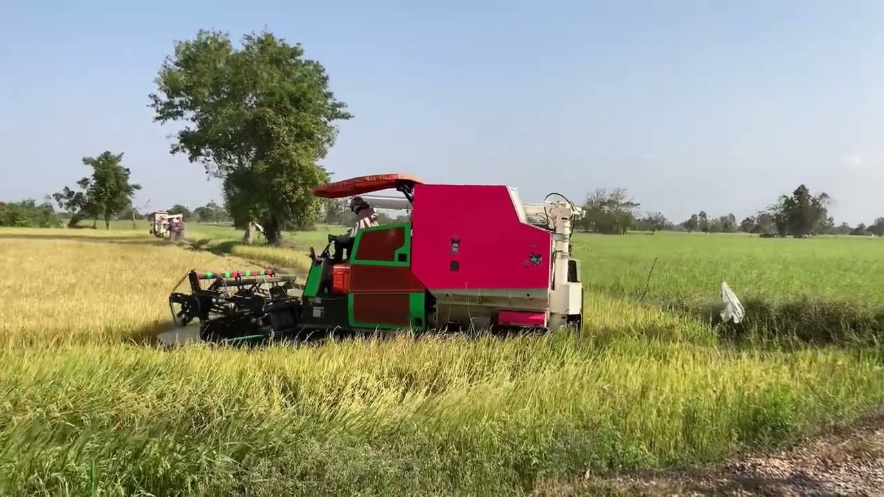 New model 