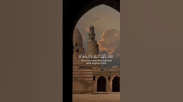 ❤ تلاوة هادئة ❤ #القرآن_الكريم #فلسطين #تلاوة_خاشعة #تلاوة_هادئة #اسلامنا #القرآن #غزة #ديننا.