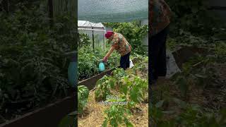 Гимн огородника #дача #садоводничество #юмор #пенсионеры #рекомендации