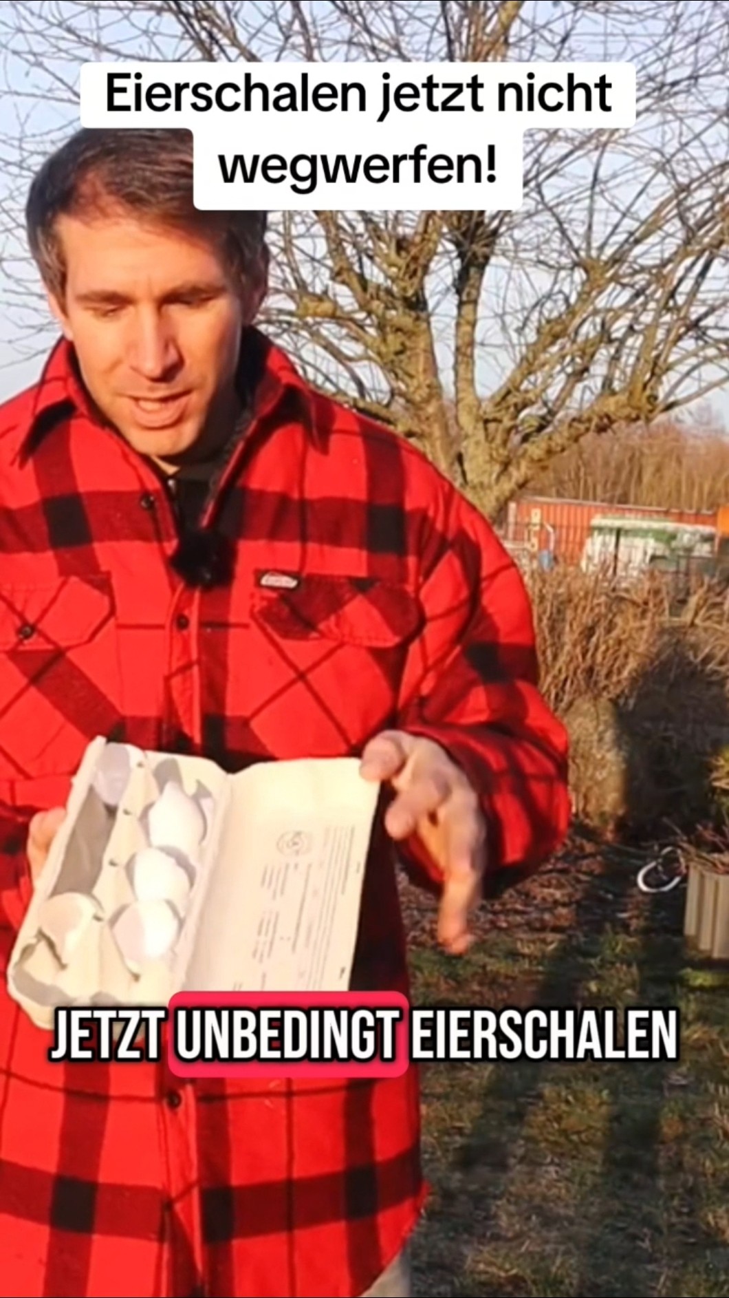 Jetzt brauchst du Eierschalen für den Garten! #garten #gartentipps # ...