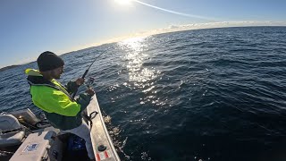 Angler's Paradise: The Ultimate Kingfish Fishing Expedition nsw south Coast