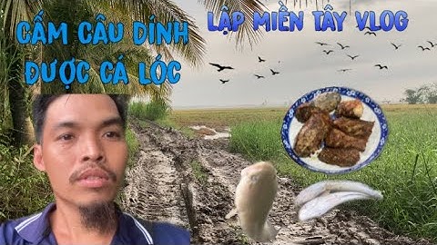 Tập 14: Đi cắm câu ma trời mưa quá,sáng đi thăm câu dính cá lóc,cá trê nữa