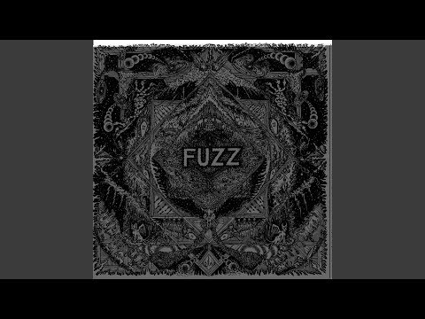 Fuzz (16) — II
