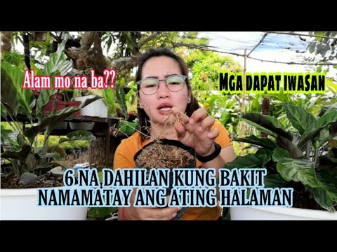 Video: Anong Ulan Ang Namamatay Ng Mga Halaman?