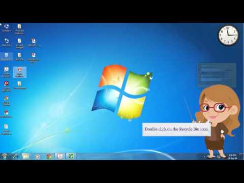 Windows 7- Deleting Files from Recycle Bin