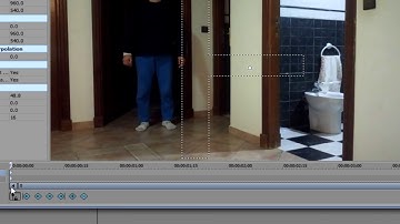 FLY EFFECT | sony vegas tutorial #1