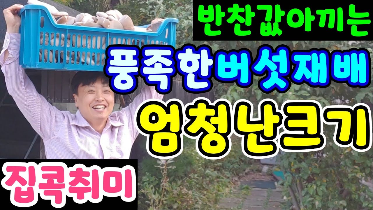 집에서 버섯재배 귀농 농사를 취미로 먼저접근해야 ~