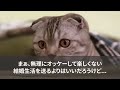 感動総集編CF 1461