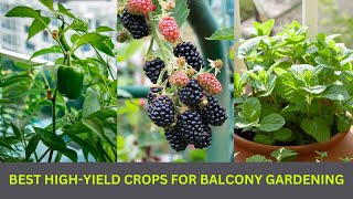 7 BEST HIGH YIELD CROPS FOR BALCONY GARDENING || #farming #balconygarden by nsfarmhouse 70 views 7 months ago 2 minutes, 4 seconds