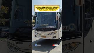 Bus Ekonomi AC Tarif Biasa Ternyaman Rute Malang-Surabaya #shorts #busmania #terminalbungurasih #fyp