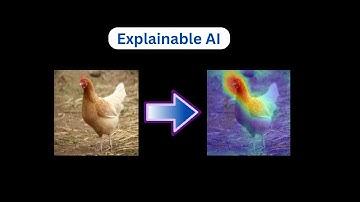 Explainable AI Explained | Grad-CAM | 1