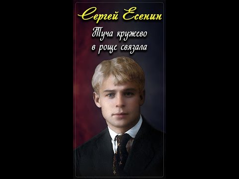 Туча кружево в роще связала - Сергей Есенин (читает Игорь Ильин) #shorts