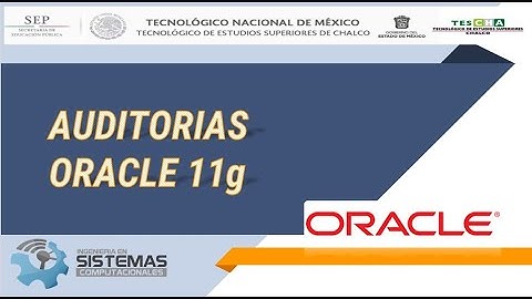 Auditorias en Oracle 11g(Equipo 4)