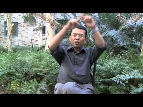 1001 Voices: Joko Susilo (Indonesia)