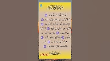 #سورة_الواقعة #سورة #الواقعة #صلاح_بوخاطر