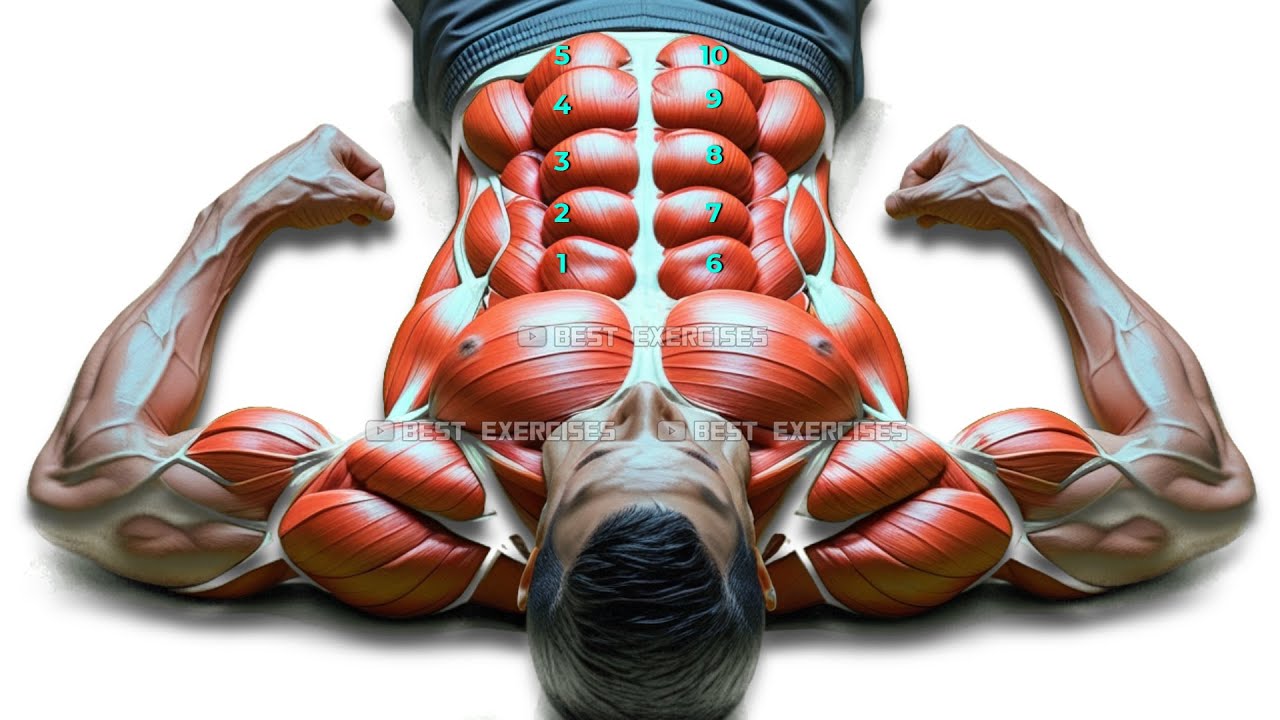 Быстрый способ накачать шесть кубиков! Одно упражнение, чтобы сжечь жир на животе!