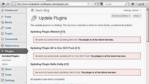 How to Update Or Delete WordPress Plugins Automatically