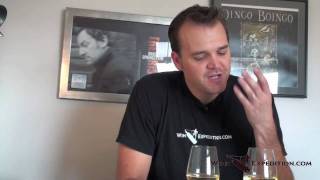 WineExperiment: The Vinturi White Wine Aerator