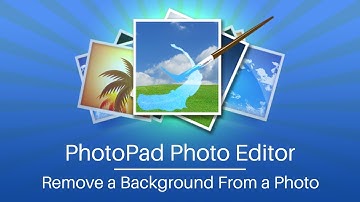 How to Remove a Background From a Photo | PhotoPad Photo Editor Tutorial
