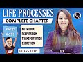 Life Processes in 1 Shot | Complete Chapter | Class 10 | NCERT | Udaan