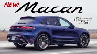 This Updated Porsche SUV is BETTER than Most Cars