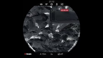 my latest  video 📹  NocPix Ace H50 Thermal scope 👌 #viral #pestcontrol #rats #thermal