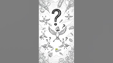 What If Gravity Reversed for One Minute?