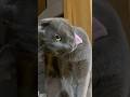 なにを言ってるの⁉️