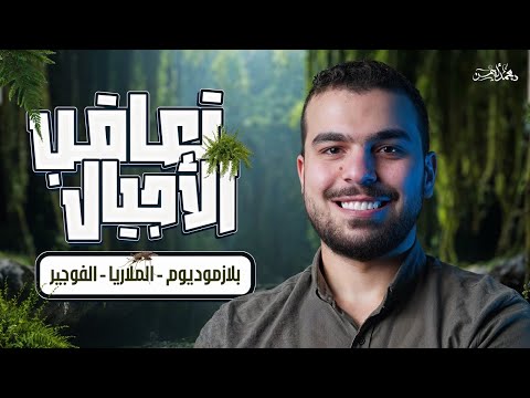 محاضرة تعاقب الأجيال من السنتر ختام الدرس الثانى تكاثر أحياء 3 ثانوى 