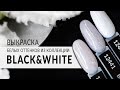 Выкраска белых оттенков из коллекции Black&White от компании Planet Nails