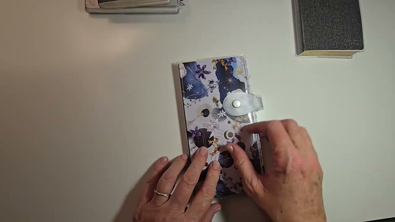 Weekly check in SI N2V Compact, 2026 N2V & SI Daily book reviews