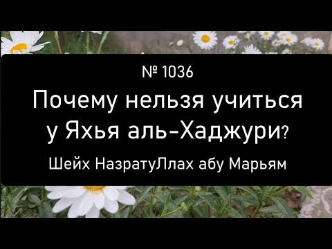 Почему нельзя учиться у Яхья аль-Хаджури?