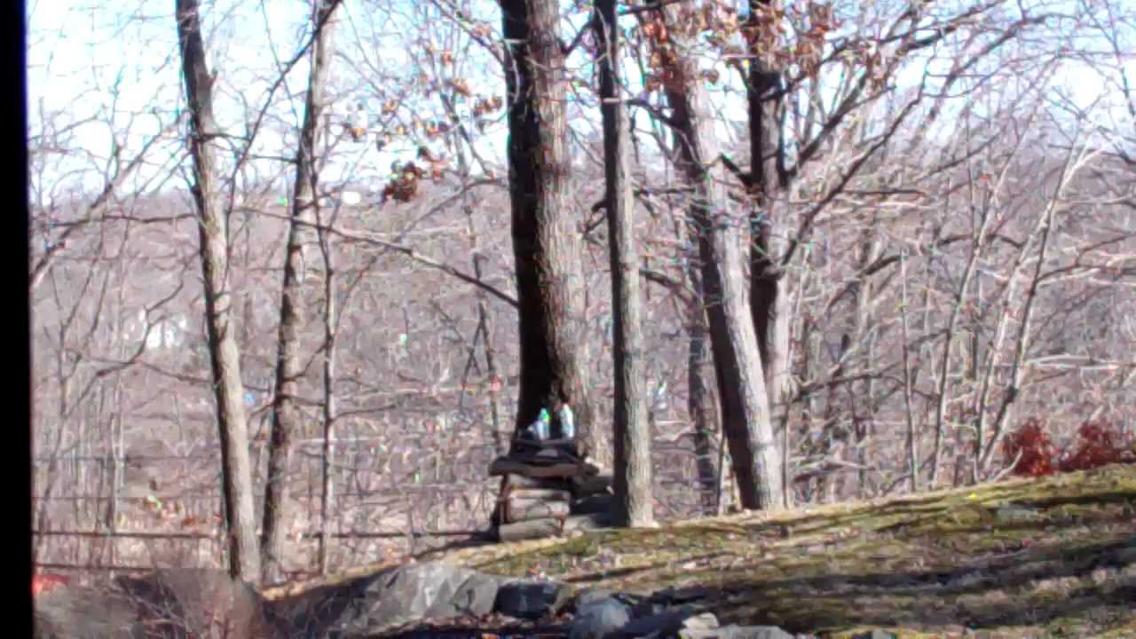 Gamo SOCOM Tactical .177 Air Rifle