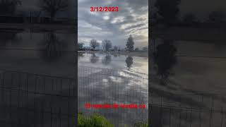 El remate de visalia ca