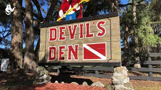 Devil’s Den: почему стоит посетить Логово Дьявола во Флориде?