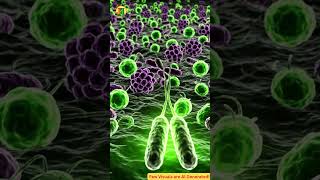 Why Oxygen was once a DEADLY Poison! 🌏 Earth's First Apocalypse #Facts #Earth #Science #Nature