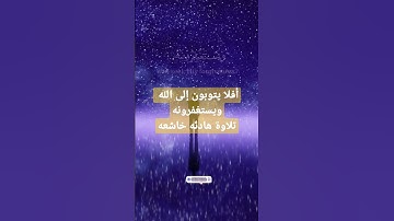 أفلا يتوبون إلى الله ويستغرونه تلاوه خاشعه هادئه