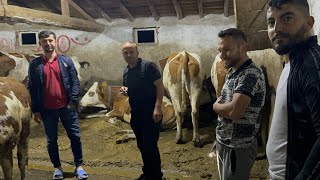 Çankirinin Gençleri̇nden Danalari Aldik
