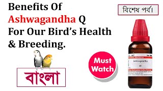 Benefits of Ashwagandha Q Homeopathic Medicine for Bird Health and Breeding. screenshot 5