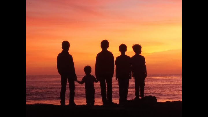 Interview with Tim Daniels : Adoption Attorney