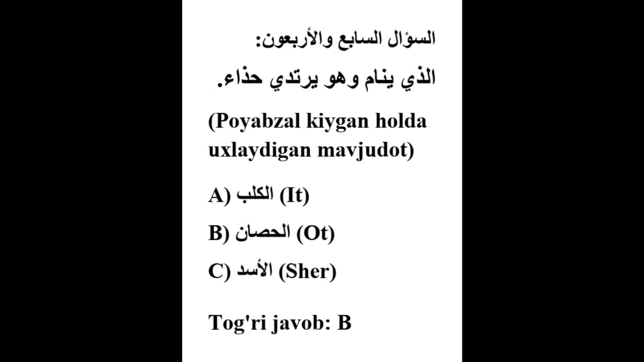 47 #cefr #arab tili #tinglab tushunish  #part1 #tarjima