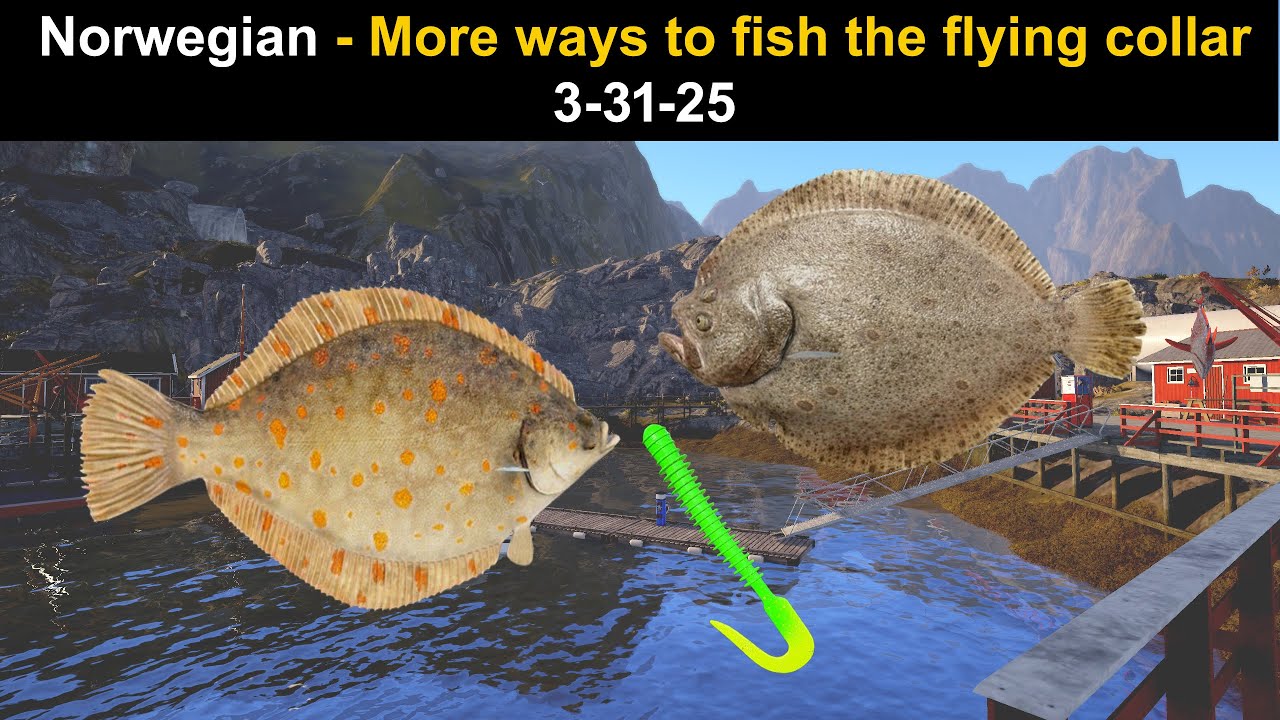 Flying Collar Rig Rf4 Russian Fishing 4, Norwegian - More ways to fish the flying collar rig ...