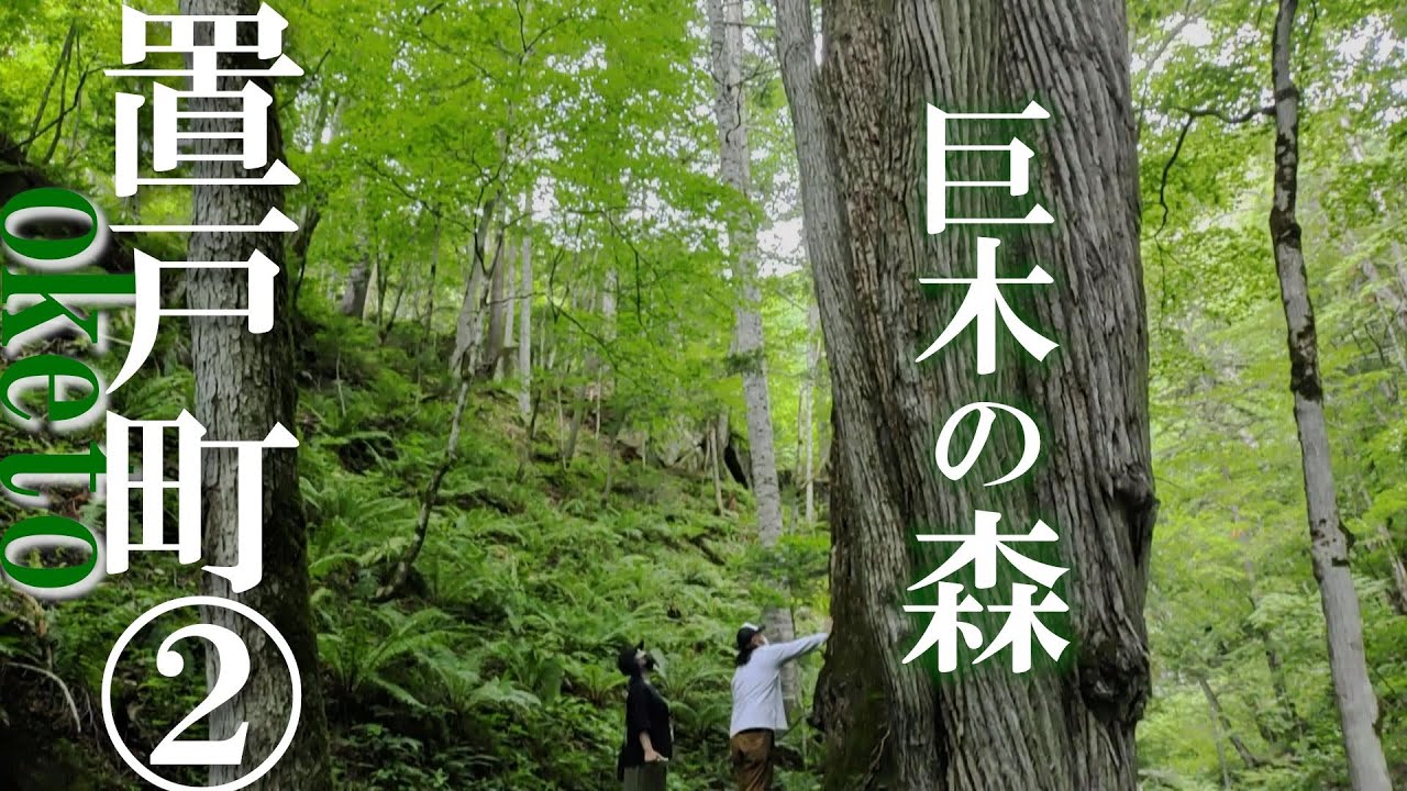 【置戸／中編】置戸町の三本桂の巨木の森と鹿の子ダムを散策しよう！