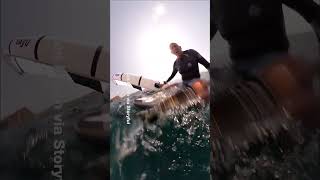 WATCH: Humpback whale collides with windsurfer in Australia
