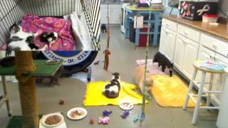 FFRC 20150524 Walter+anticlockwise