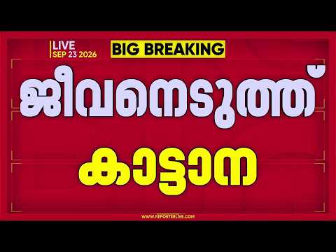 ജീവനെടുത്ത് ചക്കക്കൊമ്പൻ.. വീണ്ടും കാട്ടാനക്കലി; ഇടുക്കി സ്വദേശിക്ക് ദാരുണാന്ത്യം