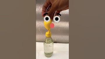 Eno vs Balloons 🎈 Science Experiment #shorts #experiment