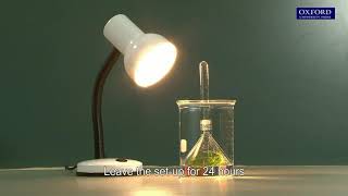 Practical 20.1 Detection of oxygen produced in photosynthesis