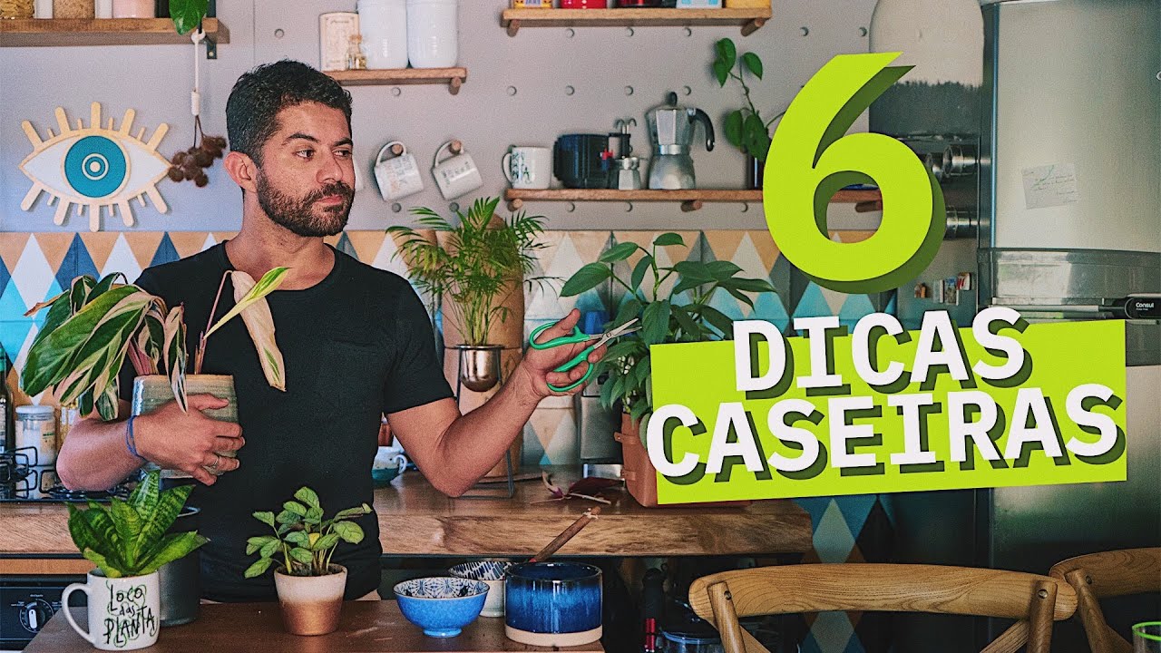 6 DICAS CASEIRAS para cuidar das suas PLANTINHAS 6 DICAS CASEIRAS para cuidar das suas PLANTINHAS