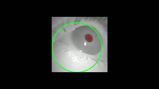 Pupil Core eye tracking headset - Adjust eye cameras to establish robust pupil detection